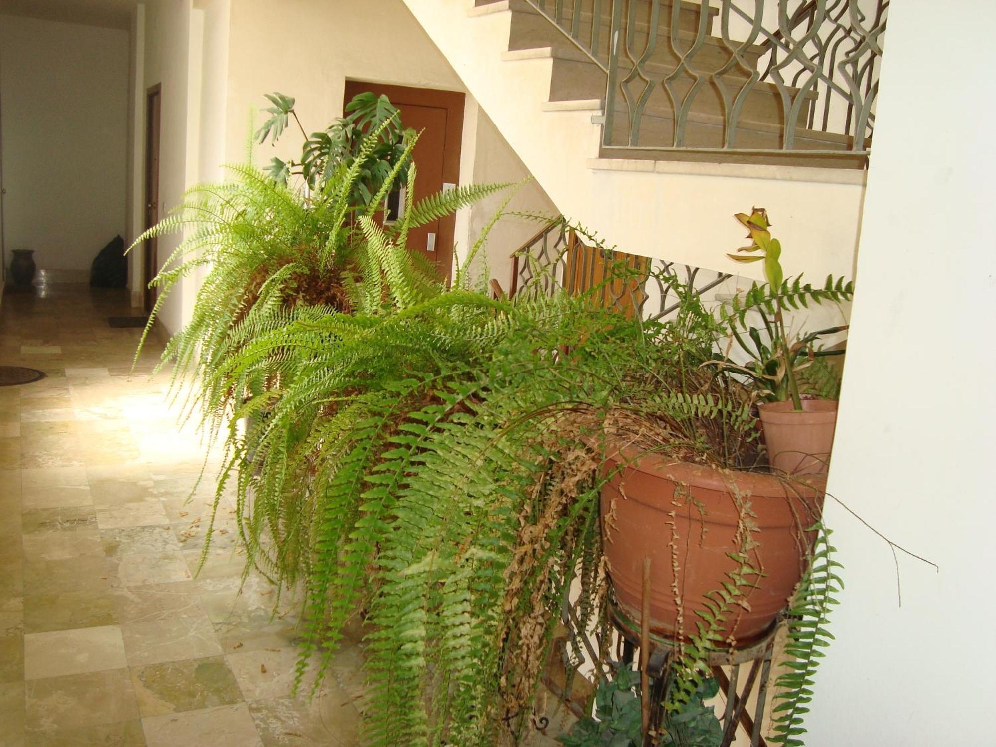 Antonio'S House Bed & Breakfast Agrigento Ngoại thất bức ảnh